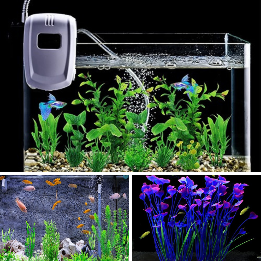 Best Aquarium Plants for Oxygenation Breath New Life Into Your Tank!