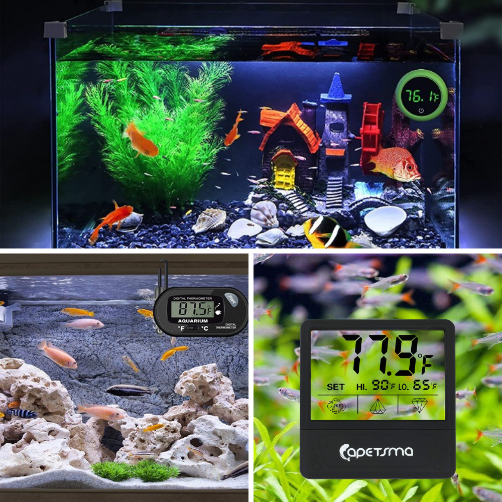 Keep Your Fish Happy With The Best Aquarium Thermometer