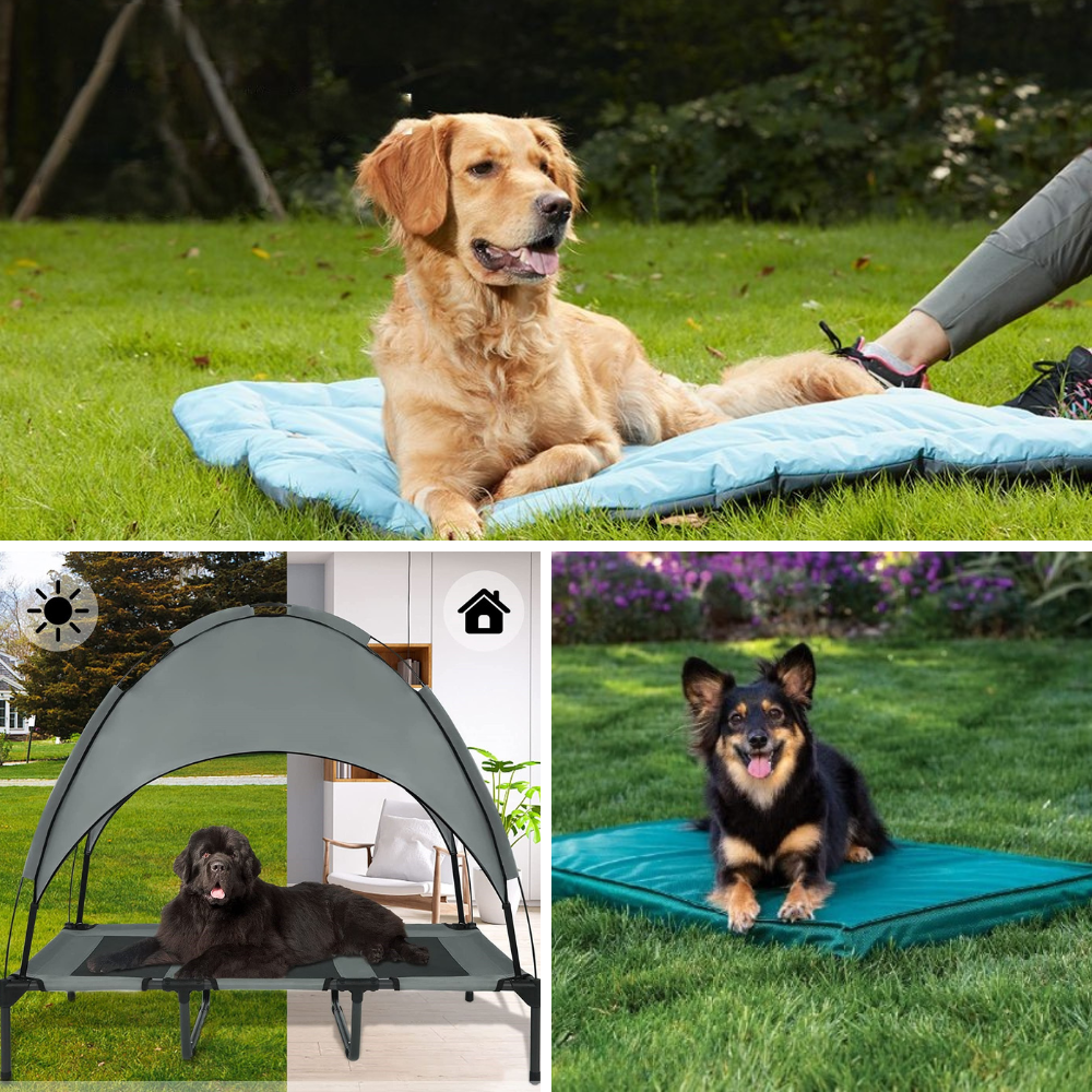 Top 10 Best Outdoor Dog Bedding For Your Furry Friend