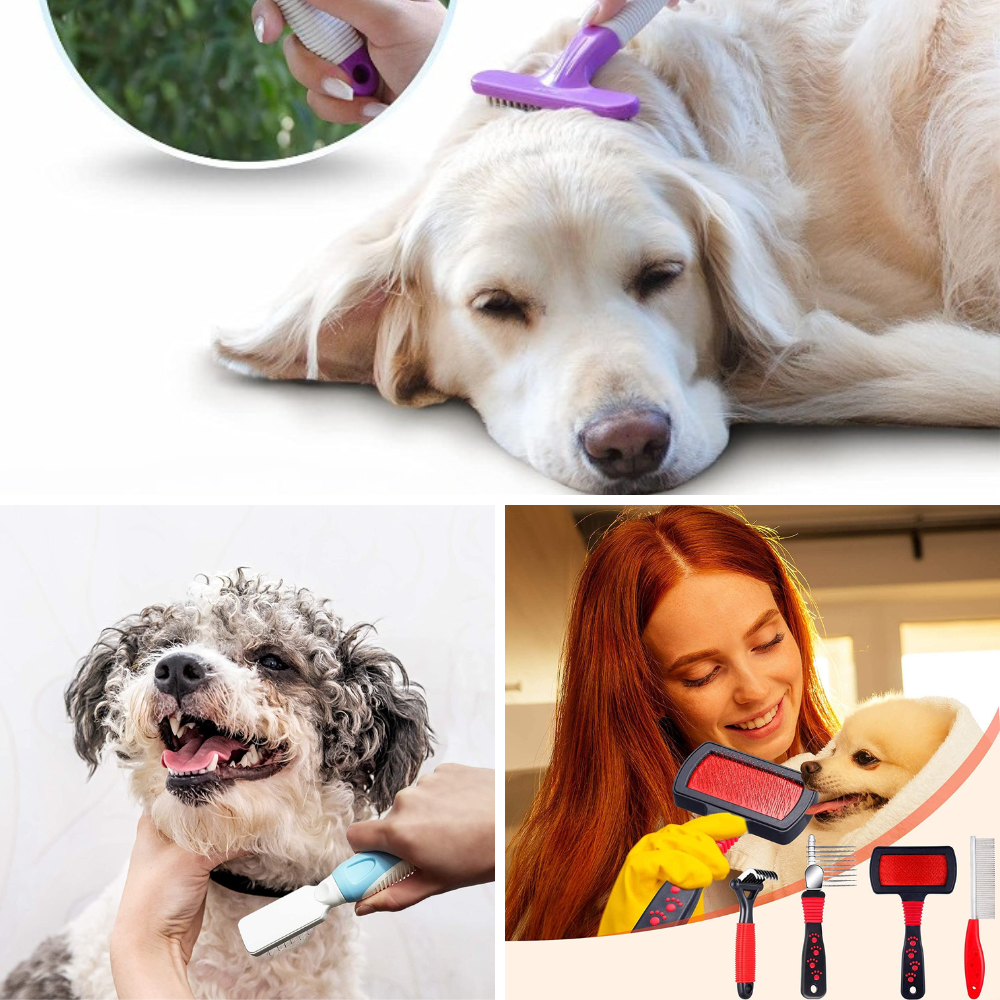 Dematting Your Dog's Fur With The Best Dematting Tool for Dogs