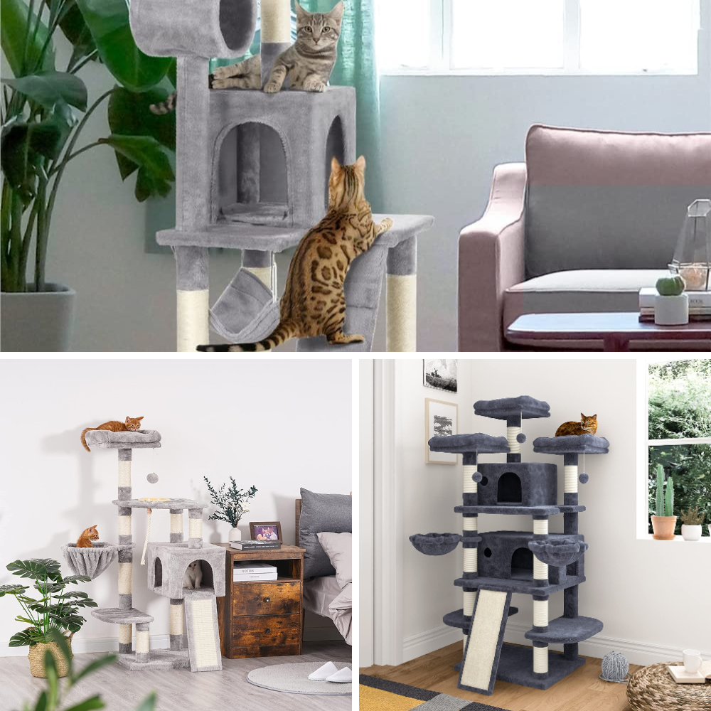 Cat Climbing Heaven Find The Best Cat Tree For Multiple Cats