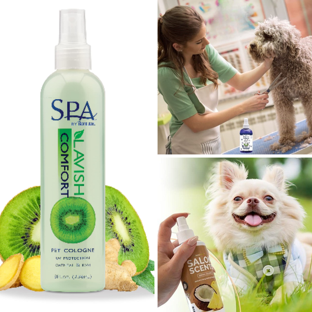 The Best Dog Cologne Keep Fido Fresh All Day