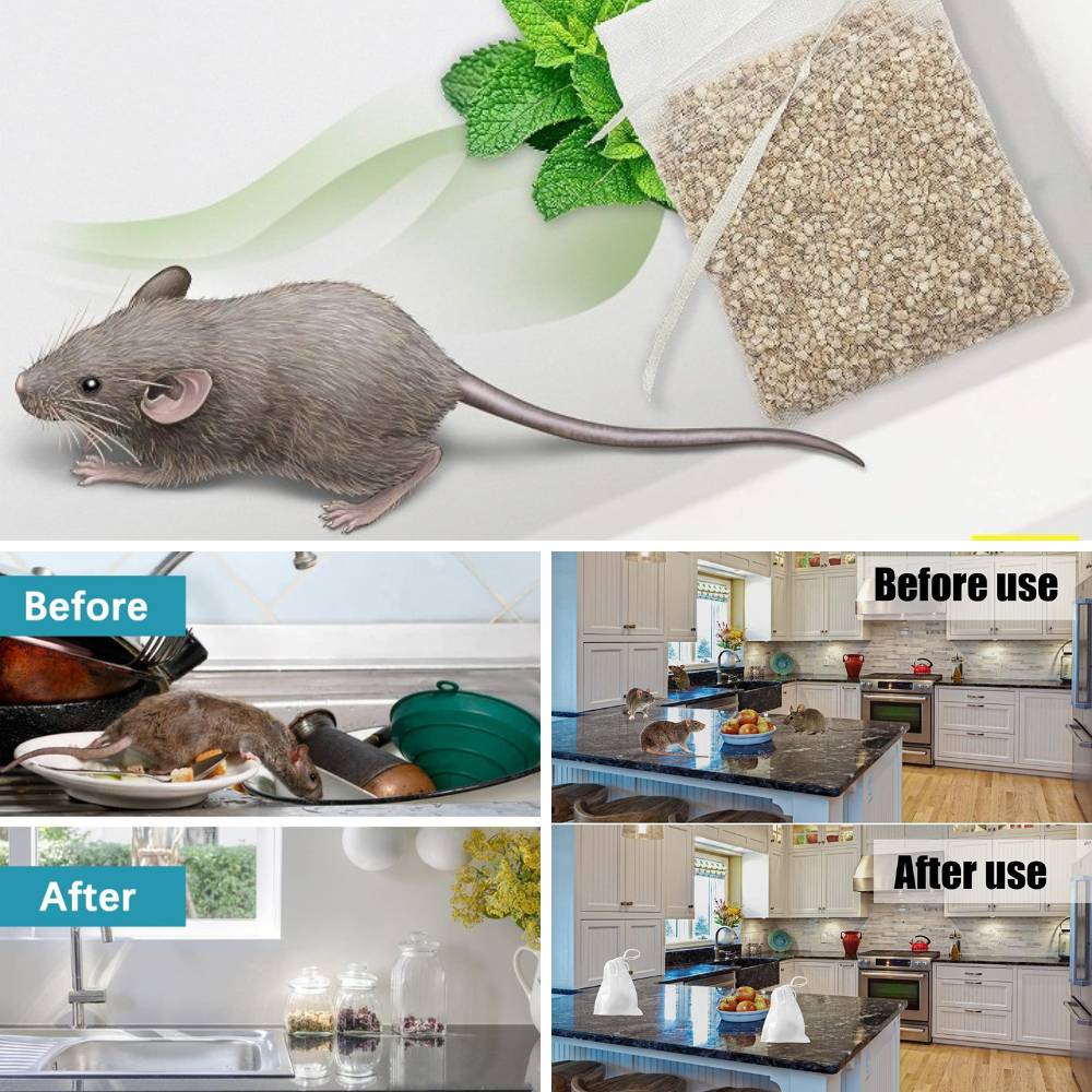 Best Outdoor Rat Repellent A Rat Race to Keep Your Home PestFree