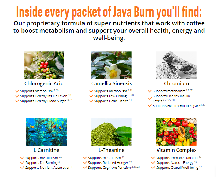 Ingredients of Java Burn