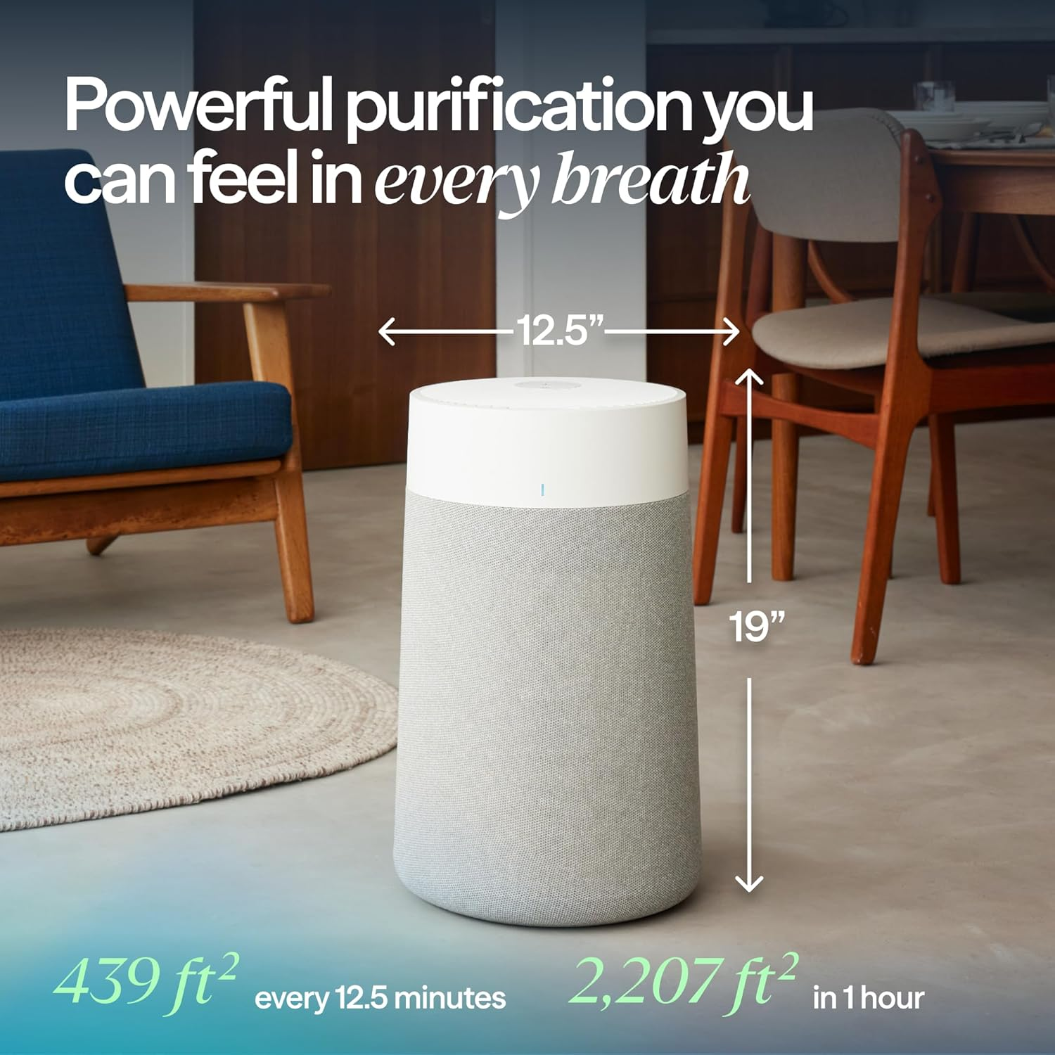 BLUEAIR Air Purifier