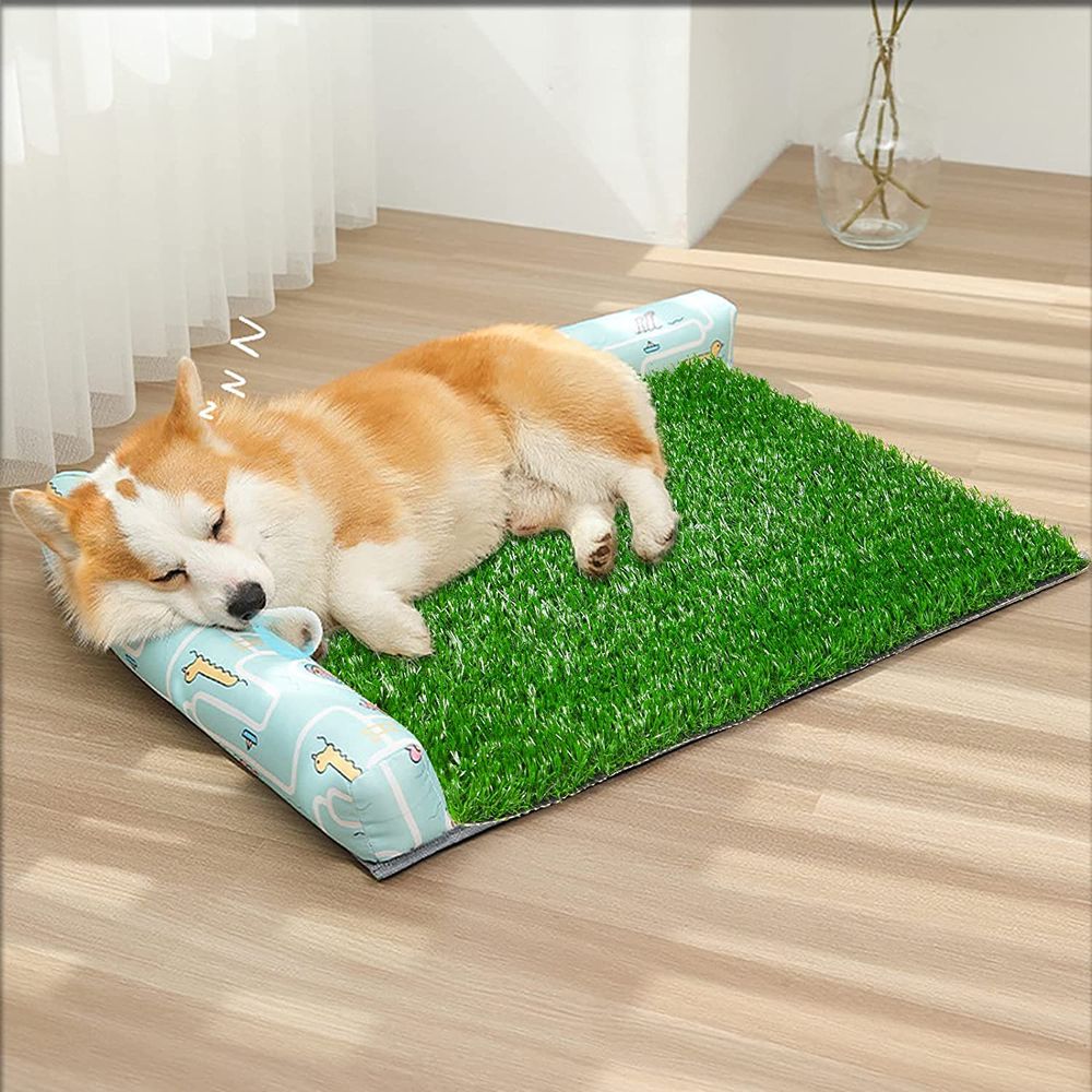 The Best Artificial Grass For Dog Potty A Clean, Comfortable Spot