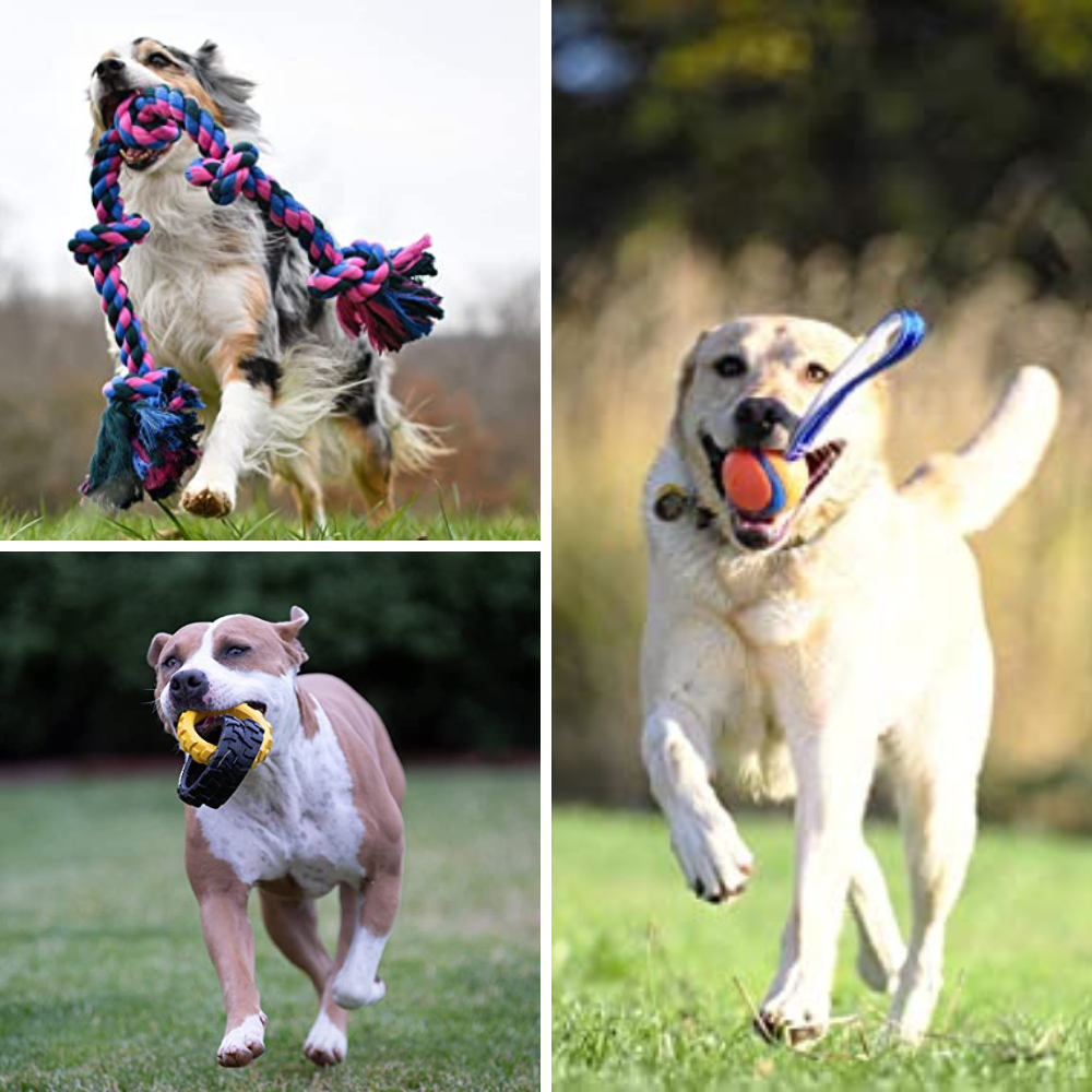 Best Tug Toys For Dogs