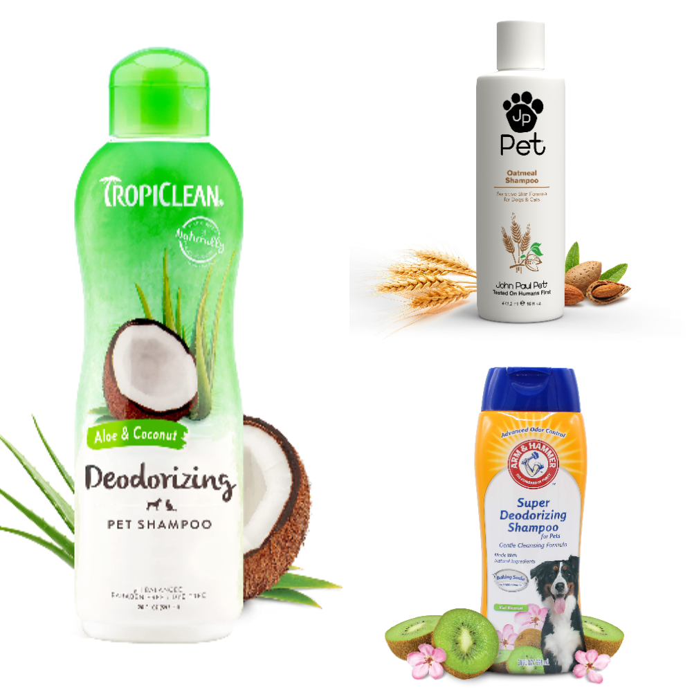 Best Deshedding Shampoo