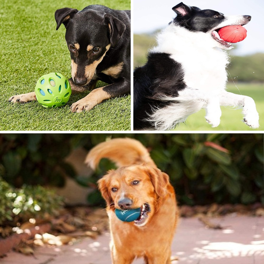 Best Dog Balls