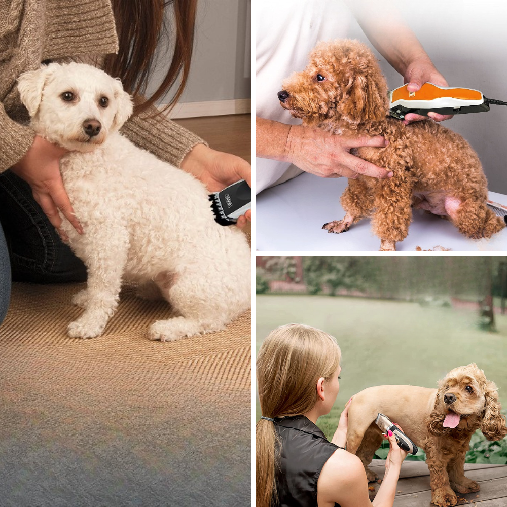 Best Dog Clippers