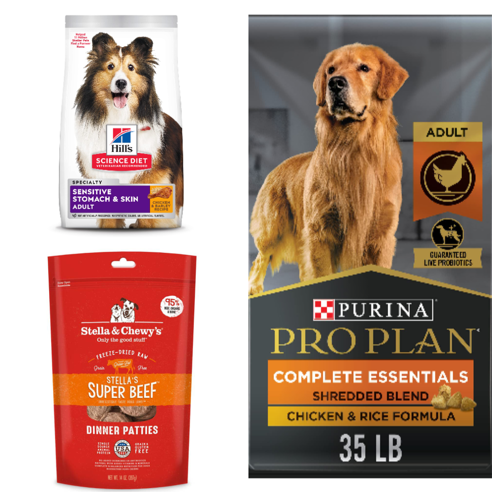Best Dog Food For Shedding