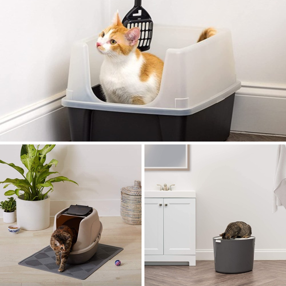 Best Litter Box For Messy Cats