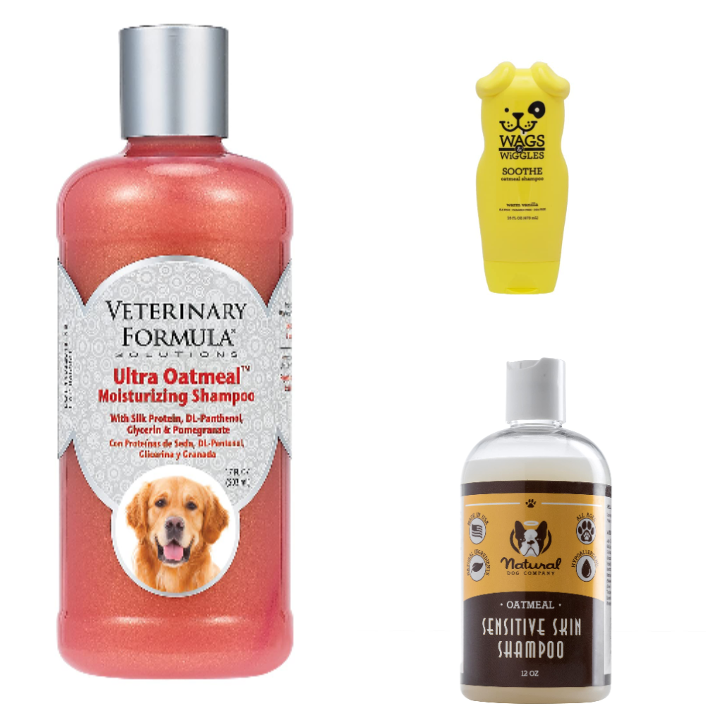 Best Oatmeal Shampoo For Dogs