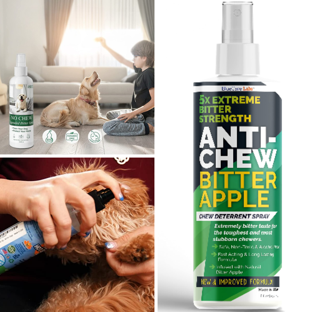 best anti chew spray for dogs