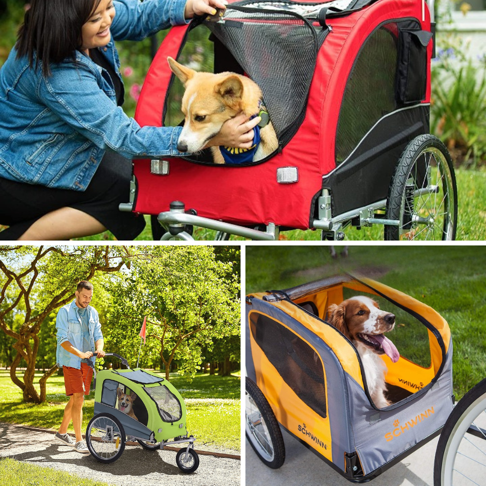 Best Dog Bike Trailer