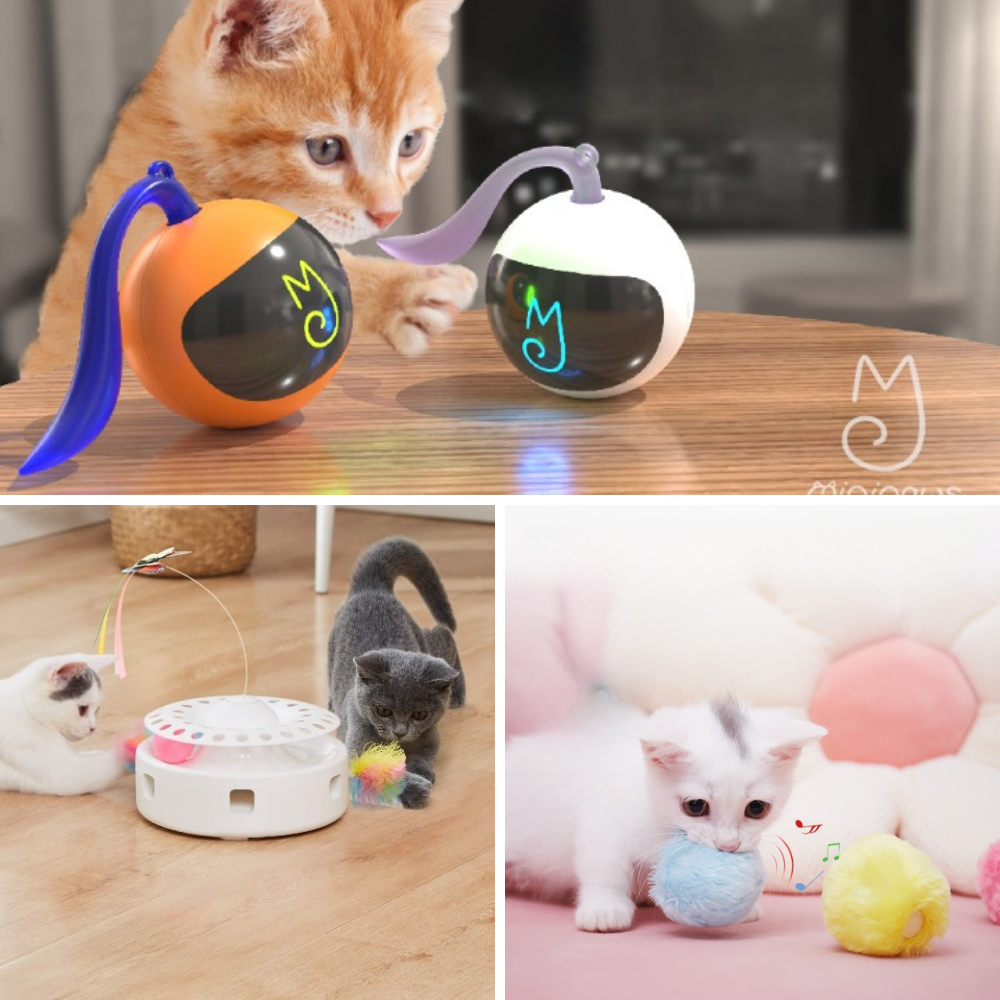 Best Toys for Cats Home Alone