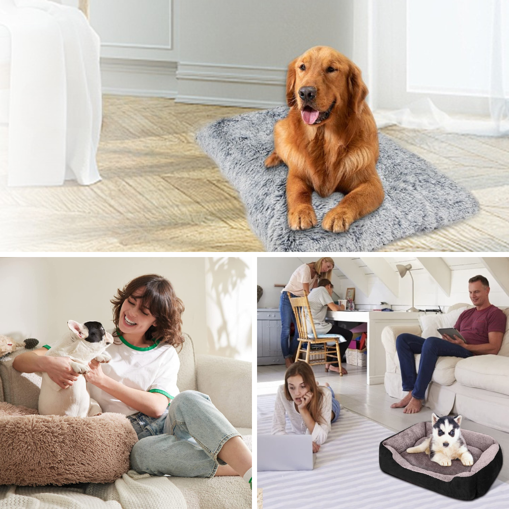 Best Dog Beds For Golden Retrievers