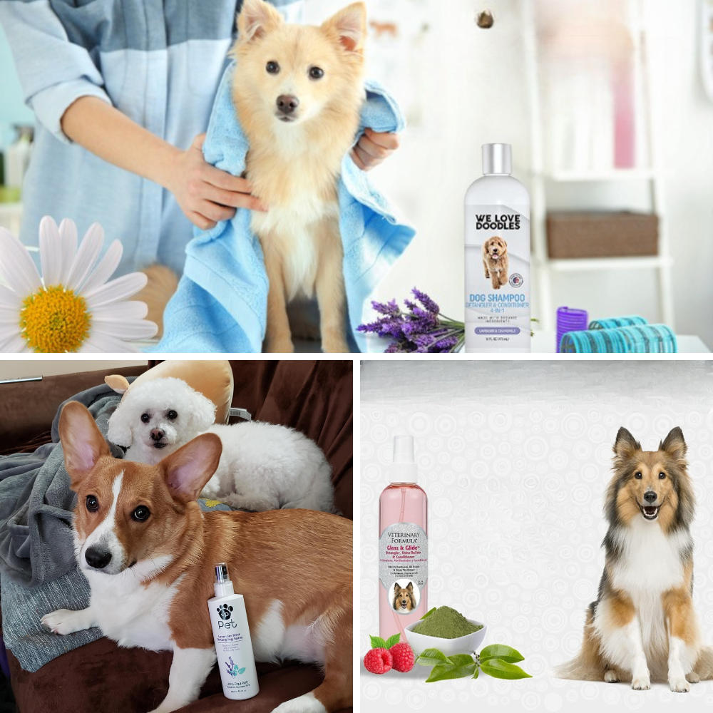 Best Dog Detangler
