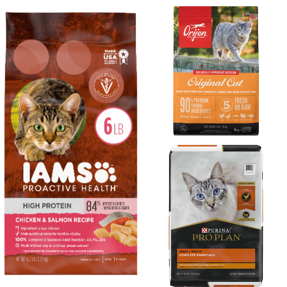 Best High Protein Cat Food