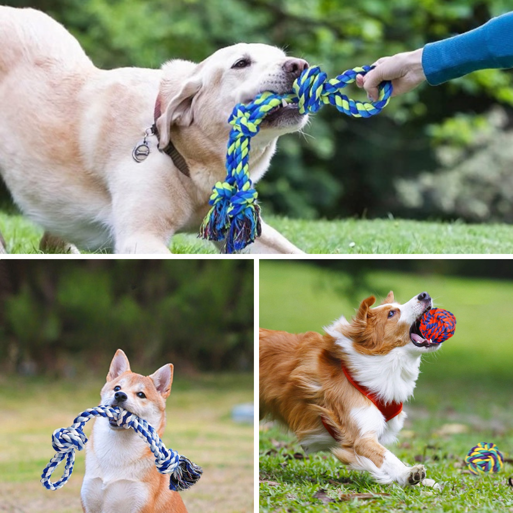 Best Dog Rope Toy