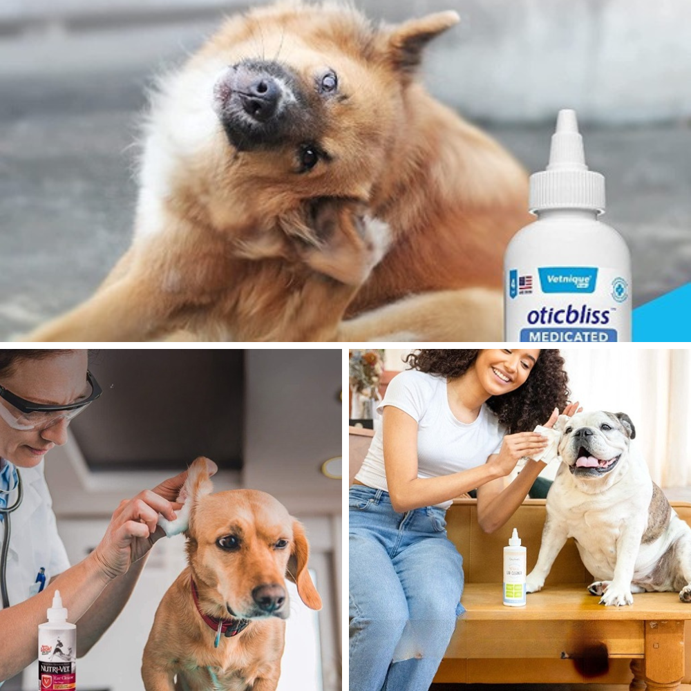 Best Dog Ear Cleaner