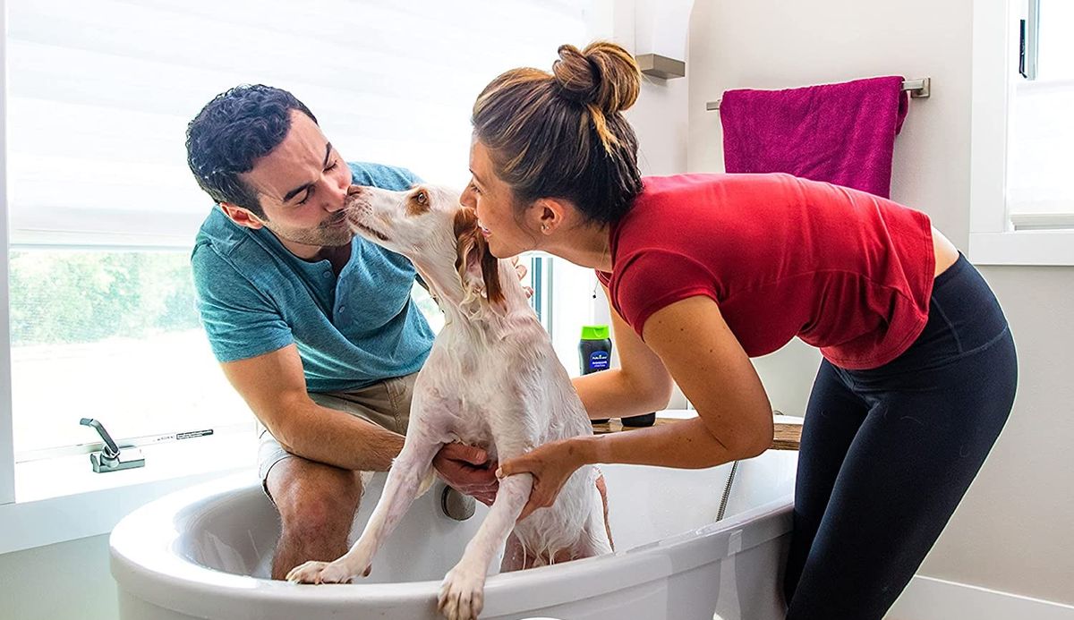 best deshedding shampoo for dogs