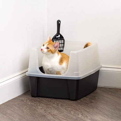 best litter box for messy cats