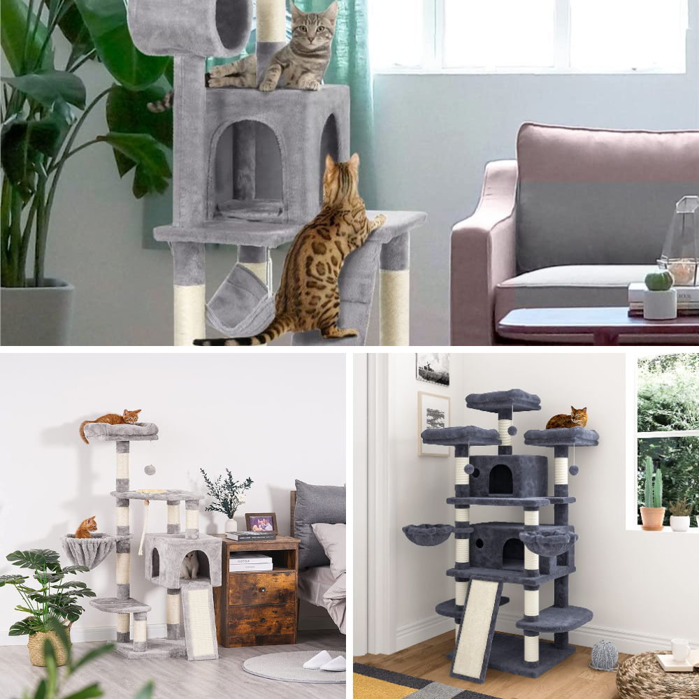 Best Cat Tree For Multiple Cats