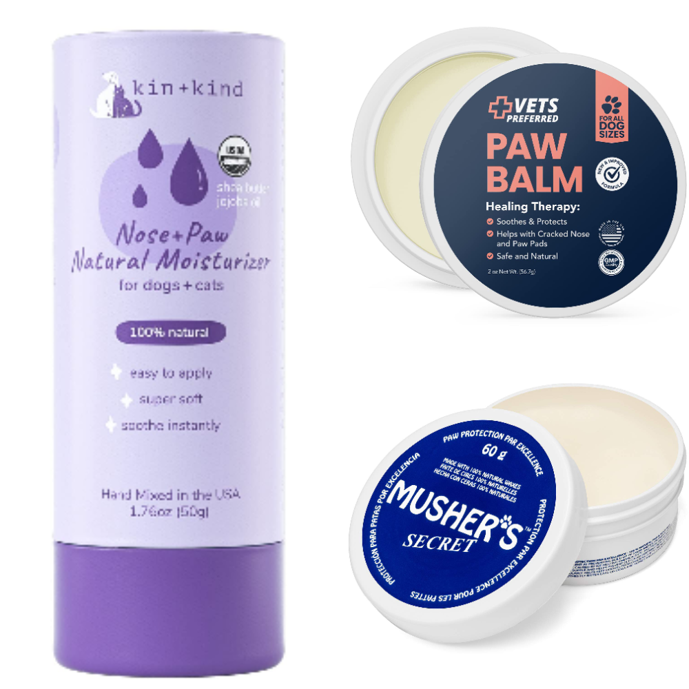Best Balm For Dog Paws