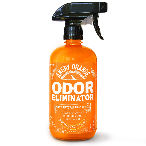 Best Dog Deodorizing Spray