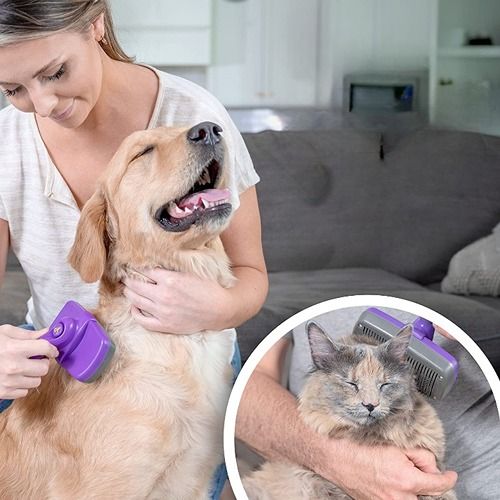 Best Brush For Long Hair Cats