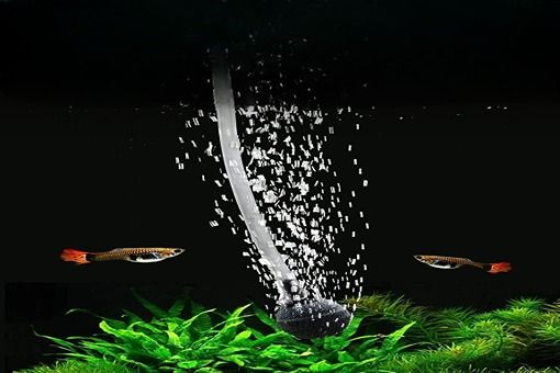 best aquarium air pump