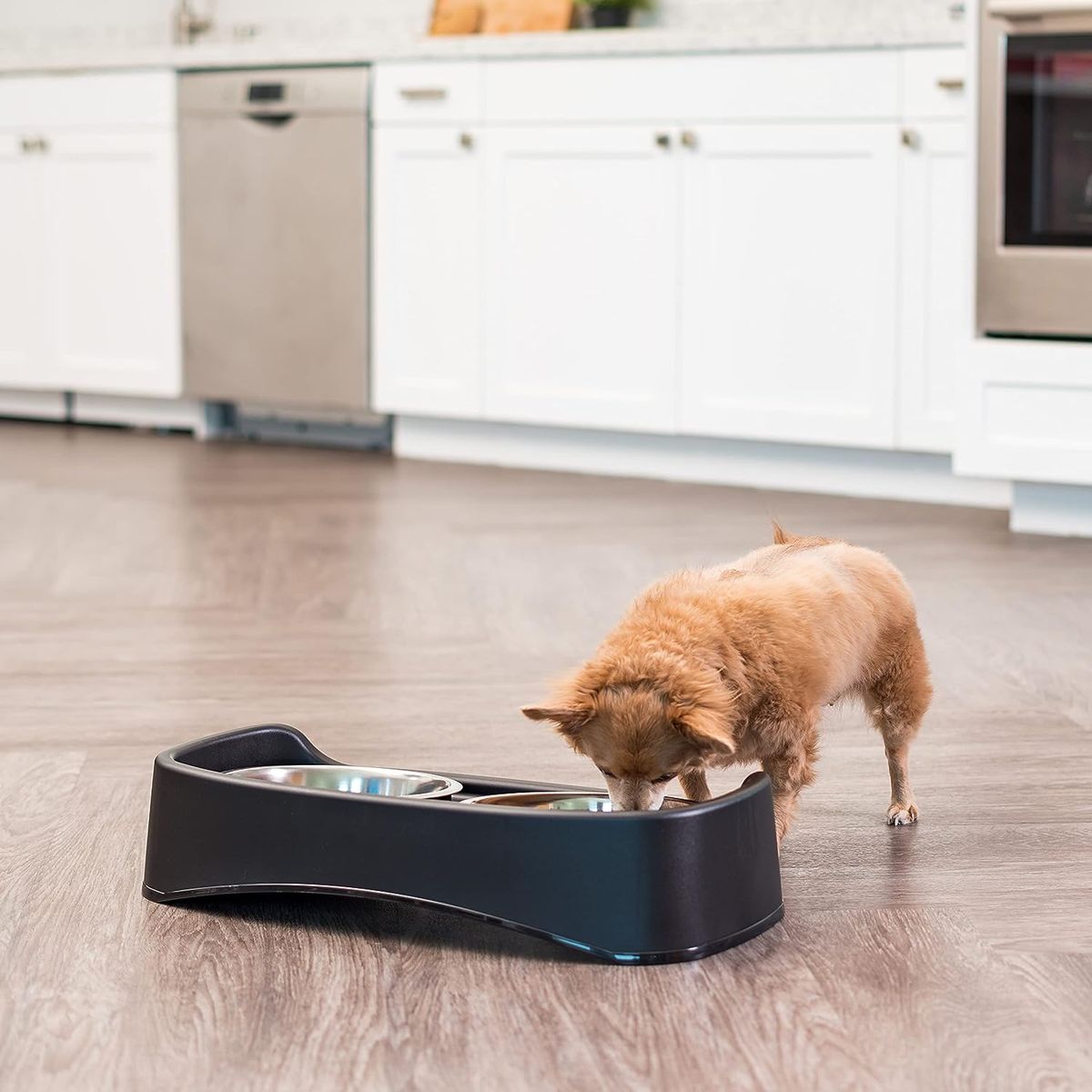 Elevated Dog Bowls