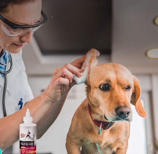 Dog Ear Cleaner