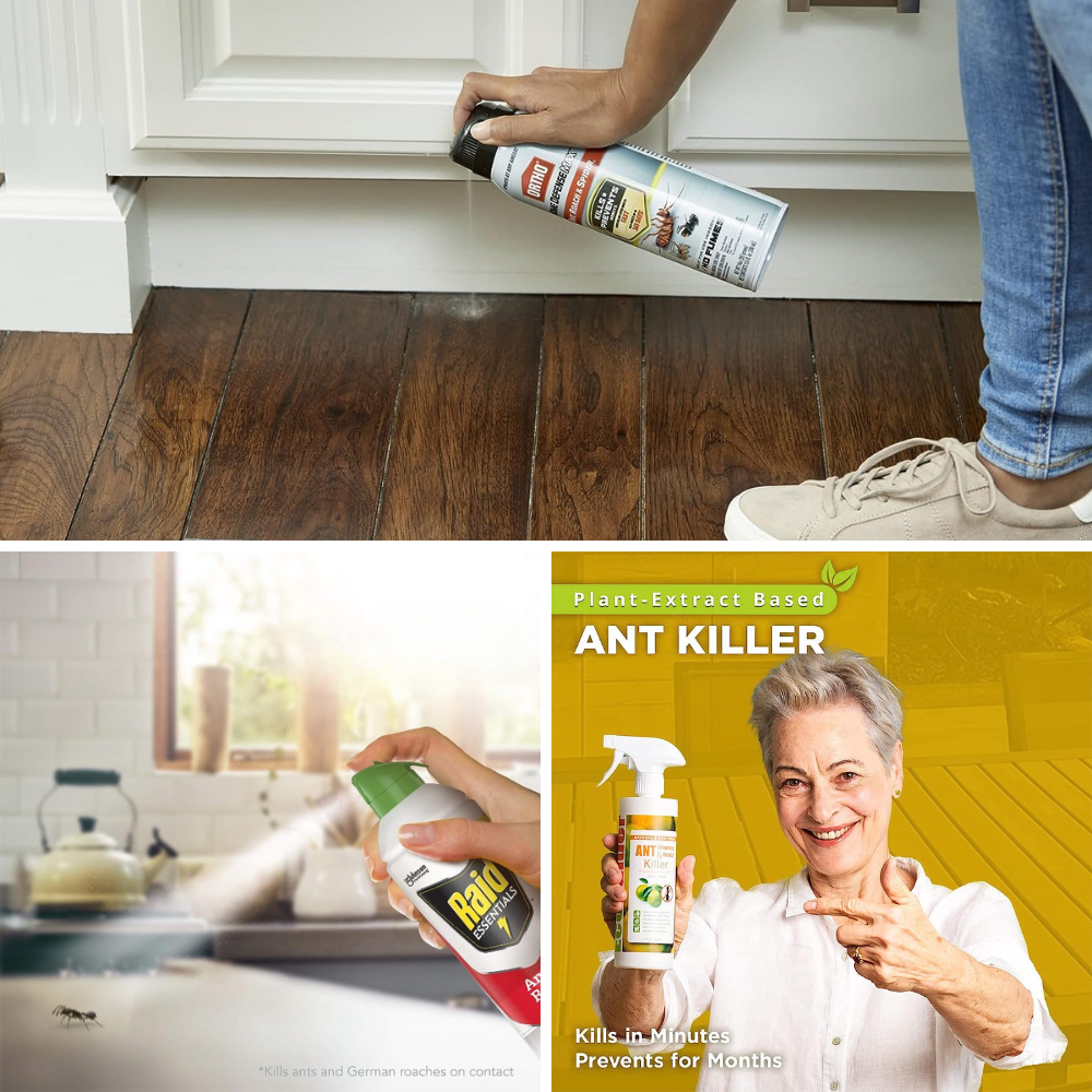 Best Outdoor Ant Killer Safe for Pets
