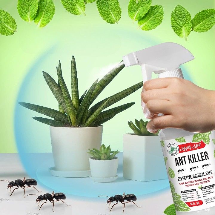 All About Ant Sprays: A Comprehensive Guide