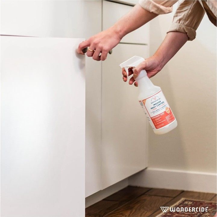 Ant Killer Indoor