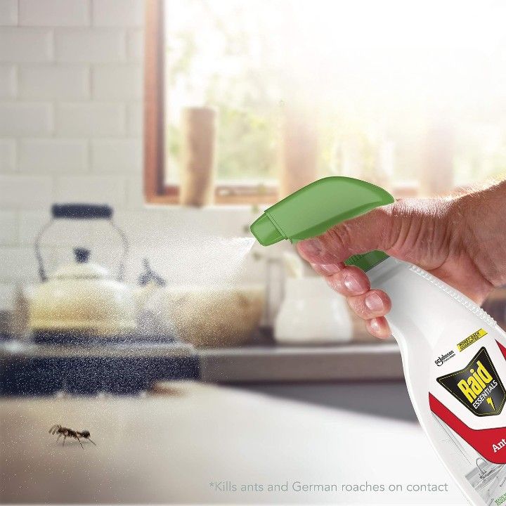 Pet Safe Ant Killer