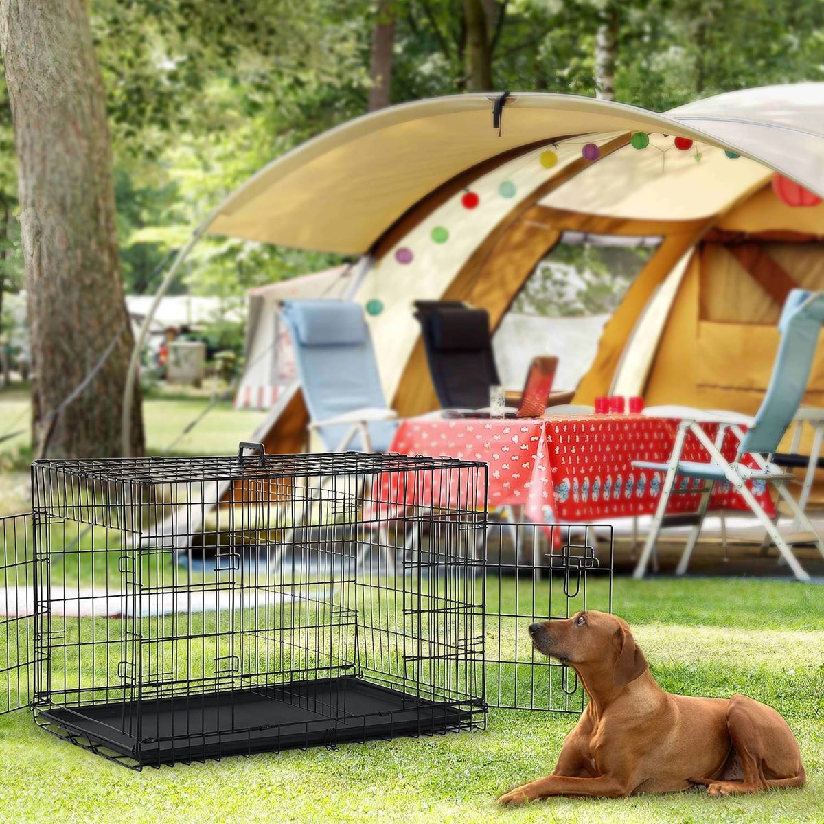 Outdoor Dog Kennel