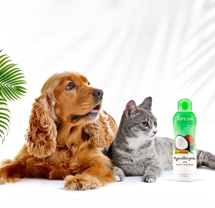 Hypoallergenic Dog Shampoo