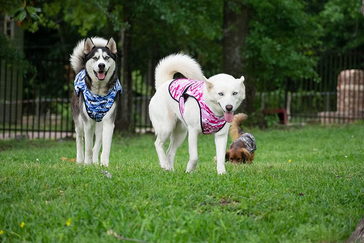 Dog Cooling Vest 