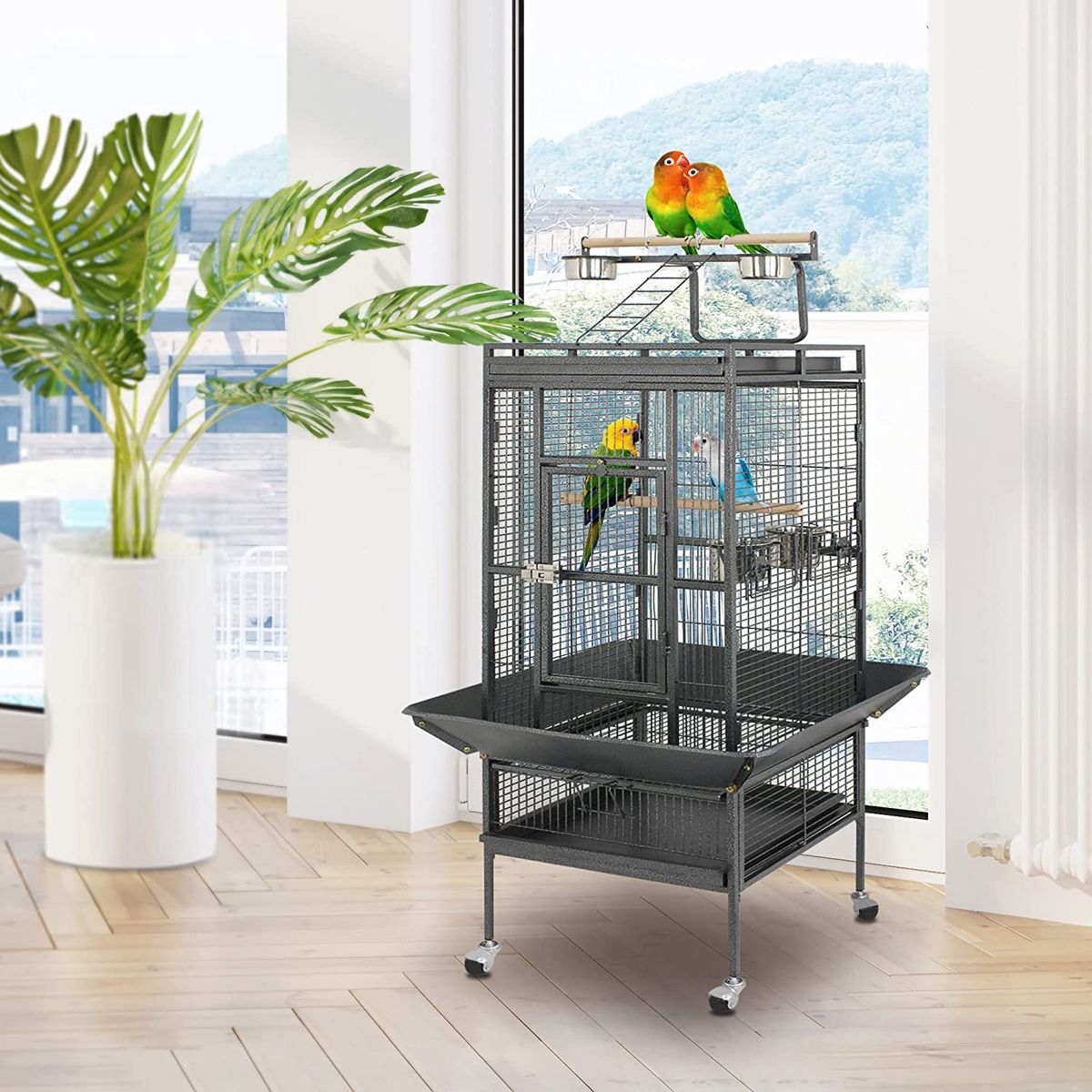 Best Bird Cages