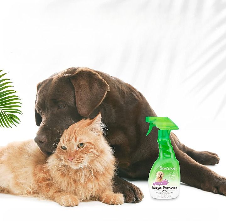 Best Dog Detangler