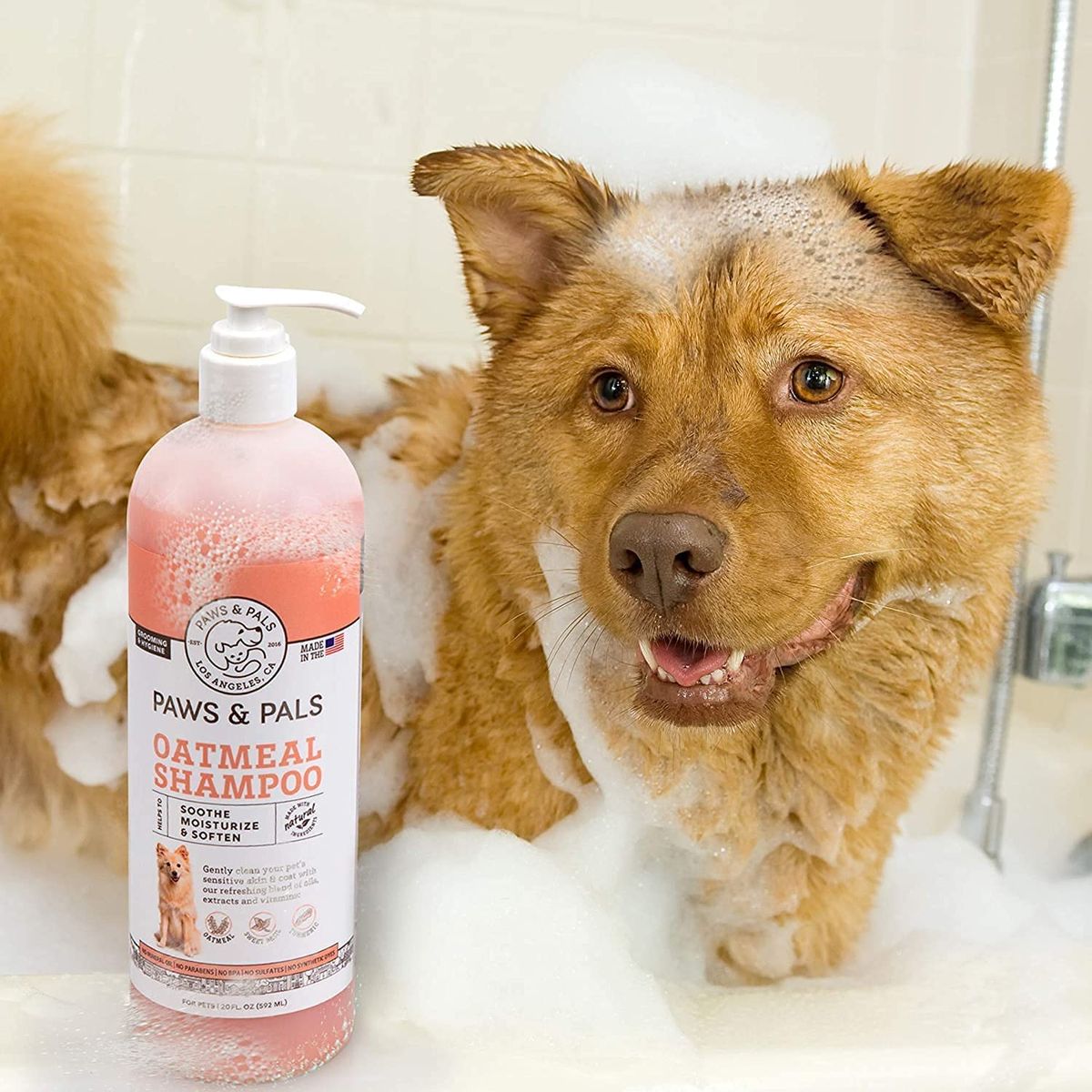 Medicated Dog Shampoo
