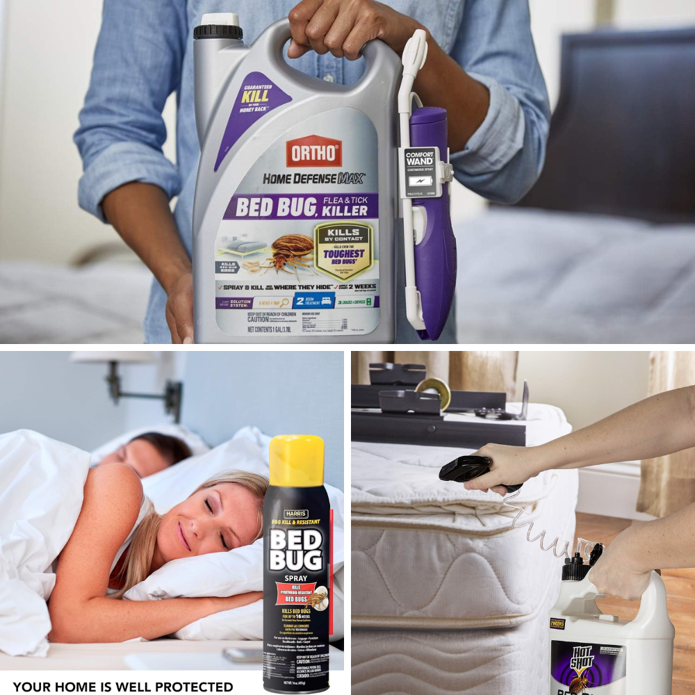 Best Bed Bug Spray