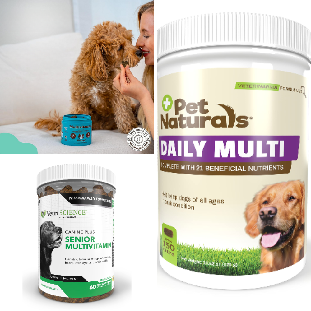 Best Vitamins For Dogs