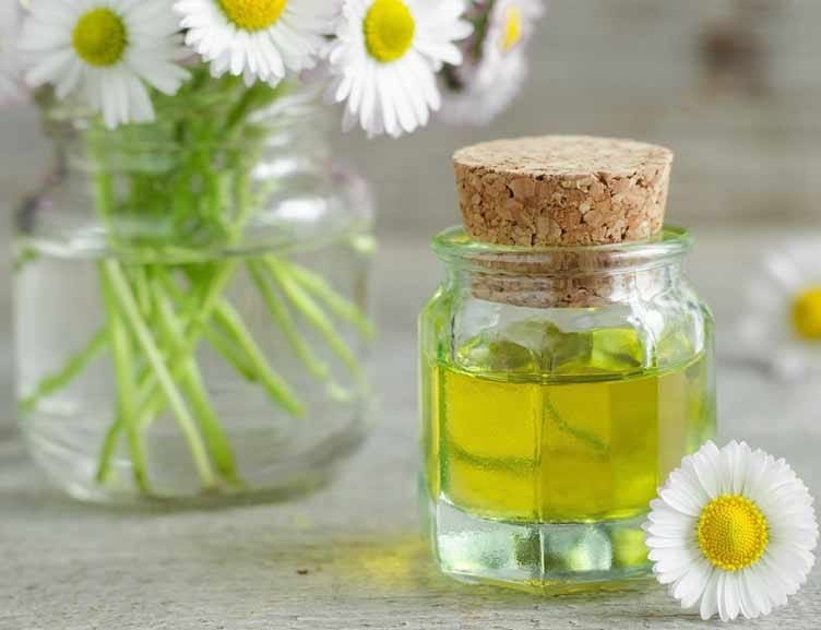 Chamomile essential oil for headaches