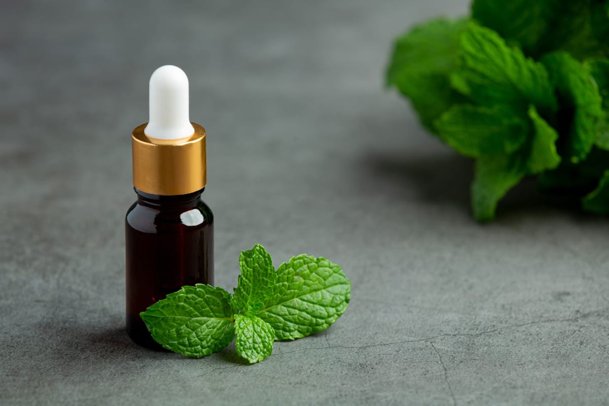 Does Peppermint Oil Help with Headaches