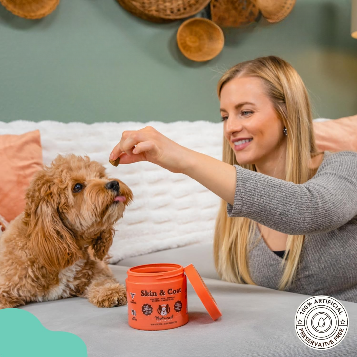 What Vitamins Are Good for Dogs