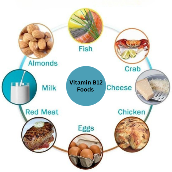 What Foods Have Vitamin B12